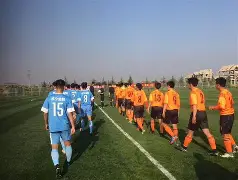 UFC联赛掀起高潮，东城白虎队强势横扫云贵天狼队，老将里程碑之夜——精神属性拉满(ufc全胜选手)-kaiyun线上平台
